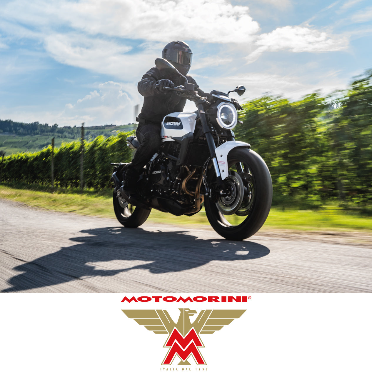 MOTOMORINI